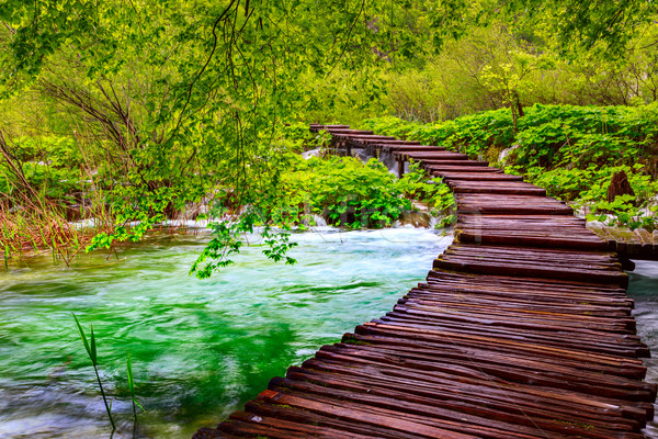 Camino parque agua primavera madera Foto stock © Fesus