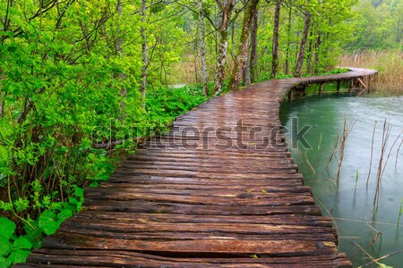 Erdő ösvény nyár út tájkép szépség Stock fotó © Fesus