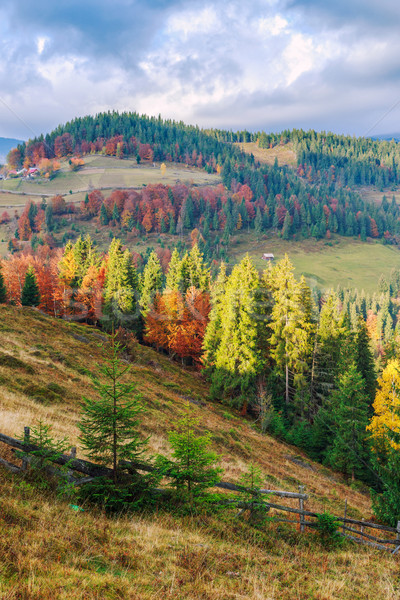 Stock photo: Colorful autumn landscape in the Carpathian mountains