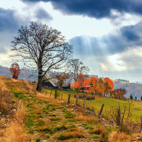 Colorful autumn landscape in the Carpathian mountains Stock photo © Fesus
