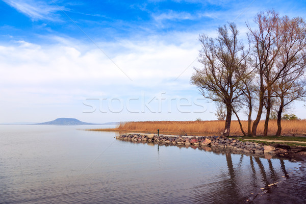Lake Balaton in Hungary in summer Stock photo © Fesus