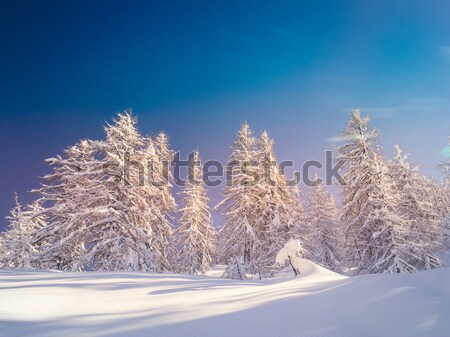 Tél tájkép sí központ hegyek Alpok Stock fotó © Fesus