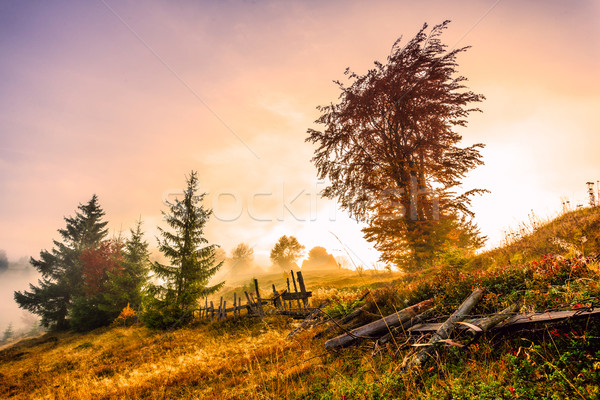 Colorful autumn landscape in the Carpathian mountains Stock photo © Fesus