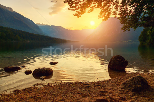 Puesta de sol lago parque valle árbol forestales Foto stock © Fesus