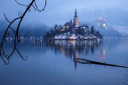 See Winter Slowenien Europa Abschluss Tag Stock foto © Fesus