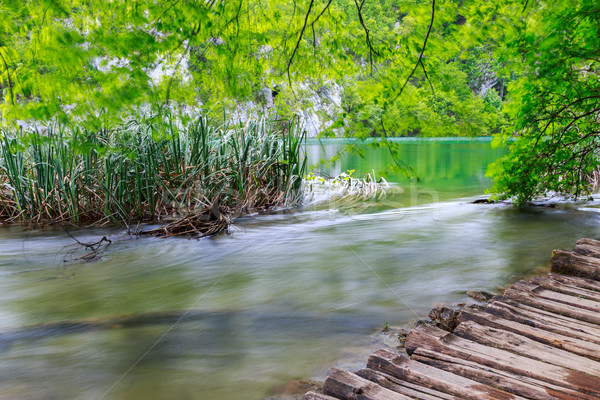 Boardwalk in the park Plitvice lakes Stock photo © Fesus