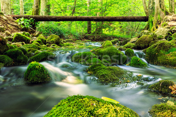 Foto stock: Rio · profundo · montanha · floresta · parque · Romênia