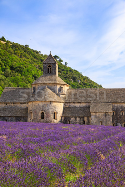 Abbey of Senanque Stock photo © Fesus