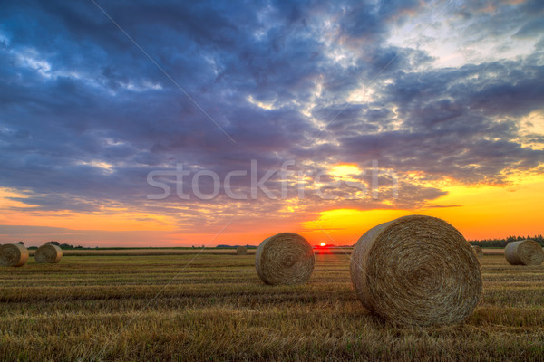 Sunset over farm field with hay bales Stock photo © Fesus