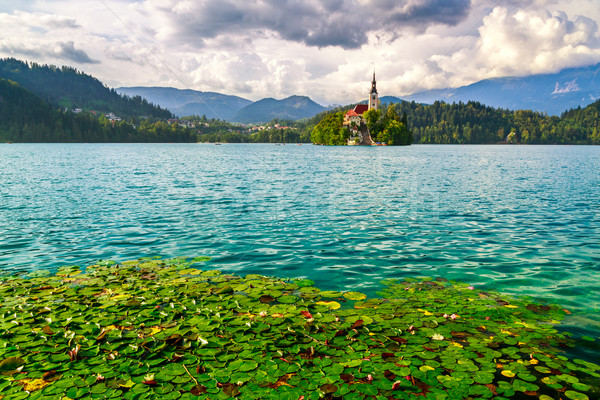 Bled with lake Stock photo © Fesus