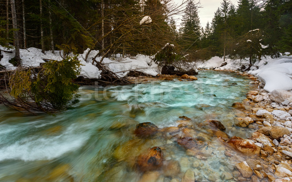 Montana río invierno tiempo alpes Eslovenia Foto stock © Fesus