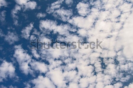 Amazing cumulus cloud formation in deep blue sky Stock photo © Fesus