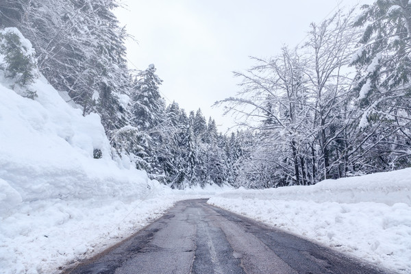 Snowy winter road in Julian Alps Stock photo © Fesus