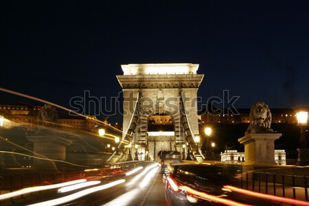 Night lights in Budapest Stock photo © Fesus