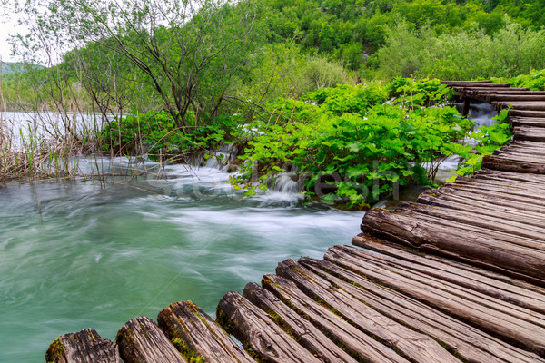 Boardwalk in the park Plitvice lakes Stock photo © Fesus