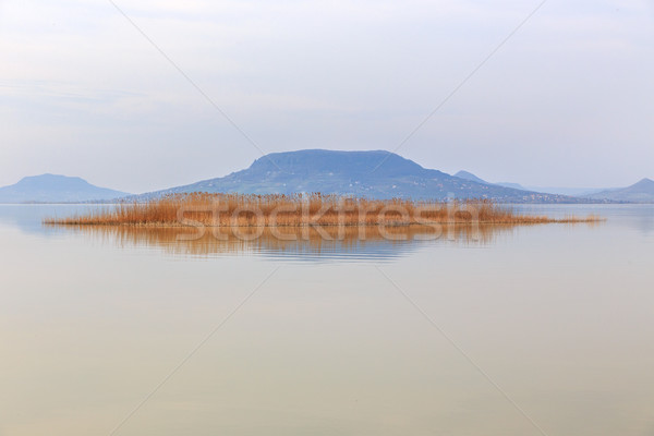 湖 巴拉頓湖 匈牙利 夏天 樹 運動 商業照片 © Fesus