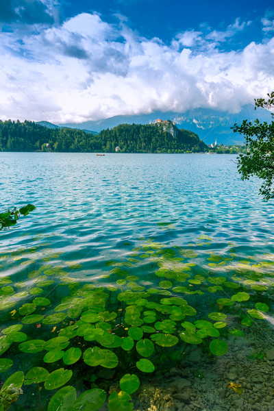 Bled with lake Stock photo © Fesus