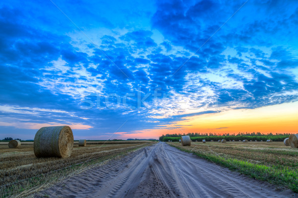 Sunset over rural road and hay bales Stock photo © Fesus