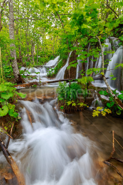 Waterfalls in Plitvice National Park Stock photo © Fesus