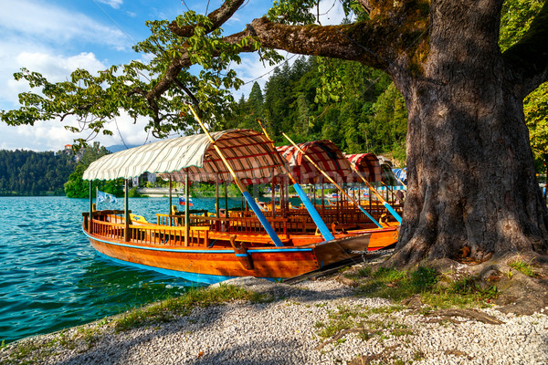 Traditional wooden boats Pletna on lake Bled Stock photo © Fesus