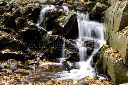 waterfall in the nature  Stock photo © Fesus