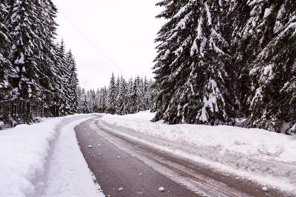 Stok fotoğraf: Kış · yol · doğa · kar · mavi · özgürlük