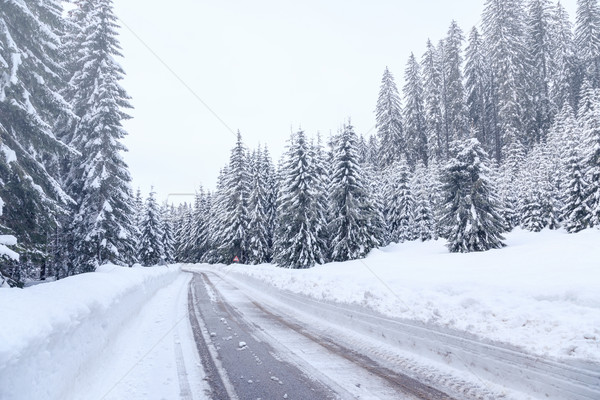 Snowy winter road in Julian Alps Stock photo © Fesus