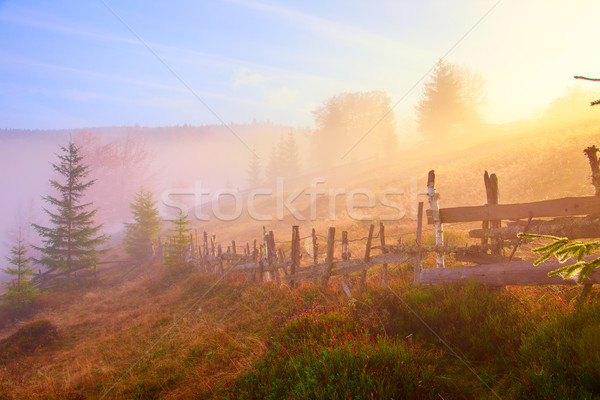 Mountain landscape with fog Stock photo © Fesus