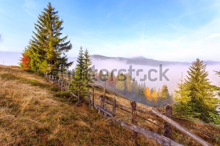 Foggy morning in Transylvania Stock photo © Fesus