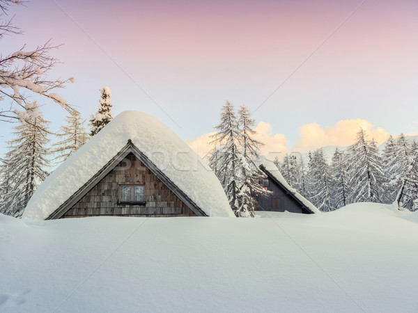 Winter vakantie huis Slovenië alpen boom Stockfoto © Fesus