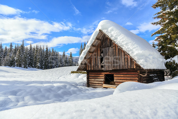 Winter forest in Alps Stock photo © Fesus