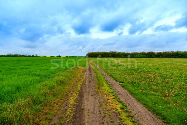 Road lane and deep sky Stock photo © Fesus