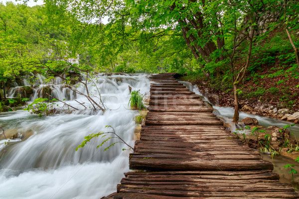 Stock fotó: Fából · készült · turista · út · park · víz · fa