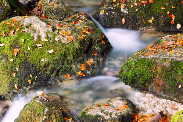 Fluss Kaskade Wald Berge Frühling Berg Stock foto © Fesus