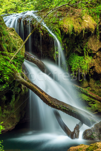 Cascada La Vaioaga in Cheile Nerei national park Stock photo © Fesus