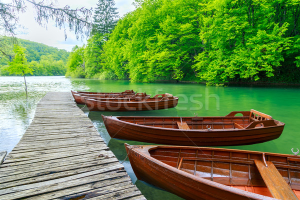 Boats in the national park Plitvice, Croatia Stock photo © Fesus