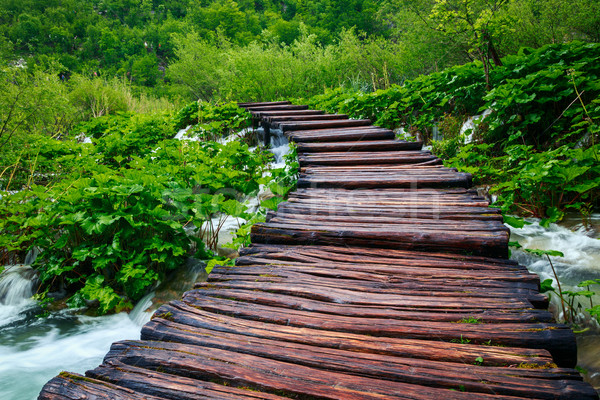 Boardwalk in the park Plitvice lakes Stock photo © Fesus