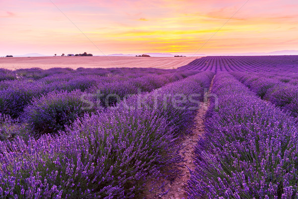 Foto stock: Belo · paisagem · pôr · do · sol · natureza · verão