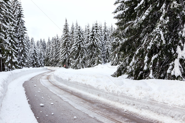 [[stock_photo]]: Hiver · route · nature · neige · bleu · liberté