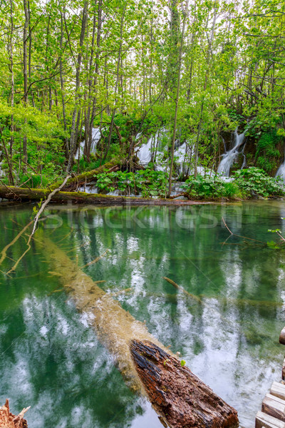 Waterfalls in Plitvice National Park Stock photo © Fesus