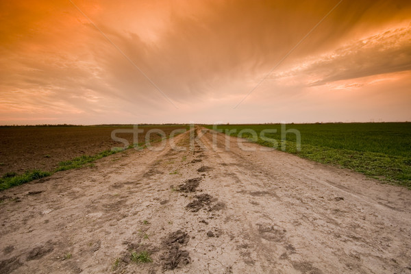 Сток-фото: сельский · закат · небе · трава · дороги · природы