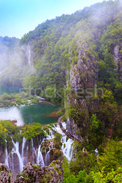 [[stock_photo]]: Croatie · forêt · cristal · eau · nature · feuille