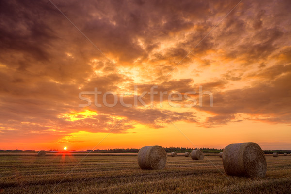 Puesta de sol granja campo heno foto Foto stock © Fesus