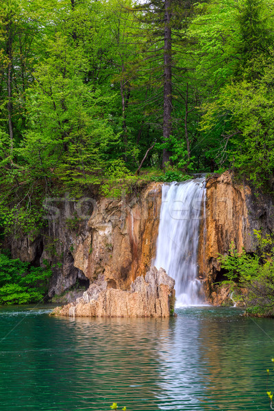 Plitvice lakes of Croatia Stock photo © Fesus