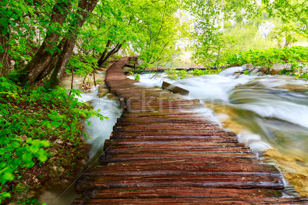 Caminho parque água primavera madeira Foto stock © Fesus