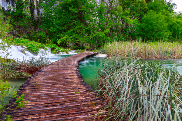 Camino parque agua primavera madera Foto stock © Fesus