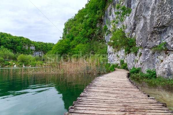 Boardwalk in the park Plitvice lakes Stock photo © Fesus