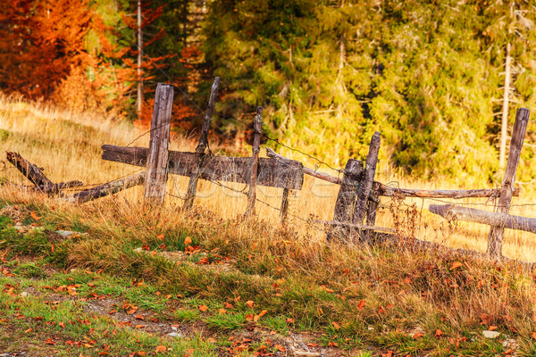 Colorful autumn landscape scene with fence in Transylvania Stock photo © Fesus