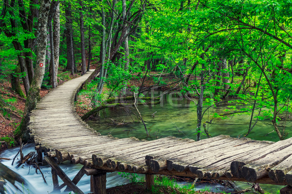 Wooden path in National Park in Plitvice Stock photo © Fesus