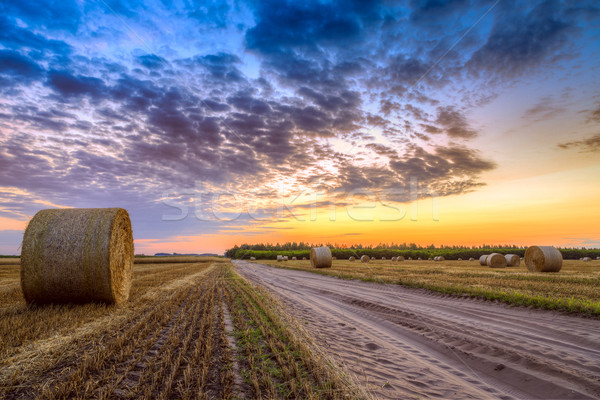 Sunset over rural road and hay bales Stock photo © Fesus